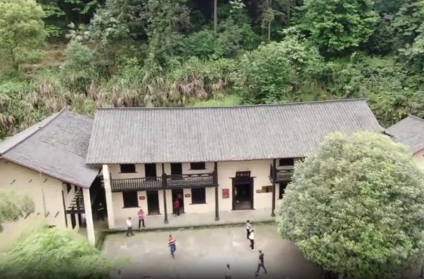 弘扬松树风格 践行绿色使命