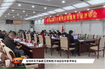 祁阳市召开高新区控制性详细规划专家评审会