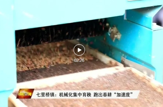 七里桥镇：机械化集中育秧 跑出春耕“加速度”
