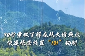 90秒带你了解森林火情热点快速核查处置“131”机制