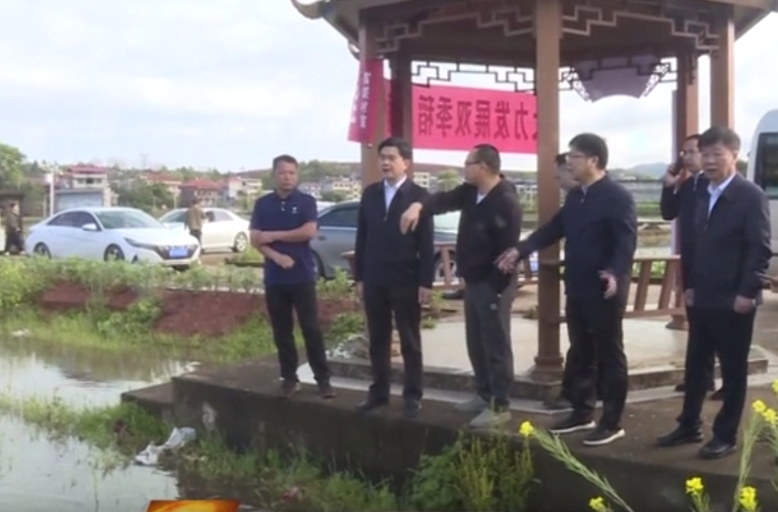 柏连阳院士来祁调研特色农业生产工作