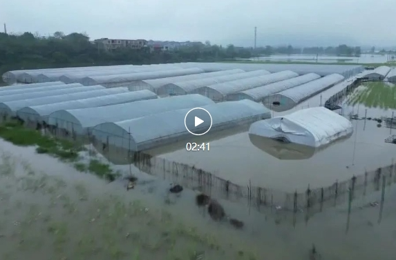 祁阳：转移群众  腾空库容  积极应对湘江洪峰过境
