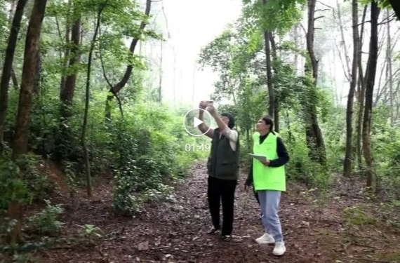 祁阳：志愿者为候鸟撑起一方“宁静”