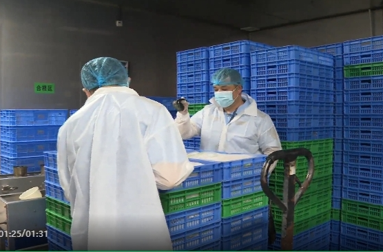 祁阳开展湿米粉类产品专项检查行动 保障群众 “舌尖上的安全” ·