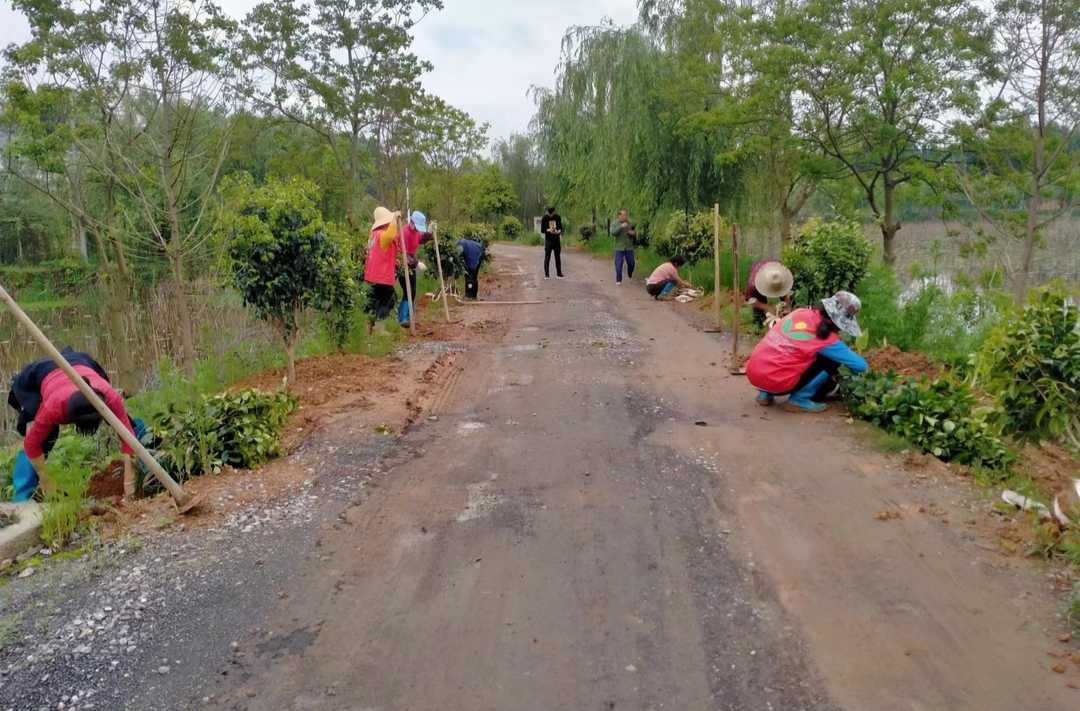 龍山街道：回訪教育暖人心 放下“包袱”再出發(fā)