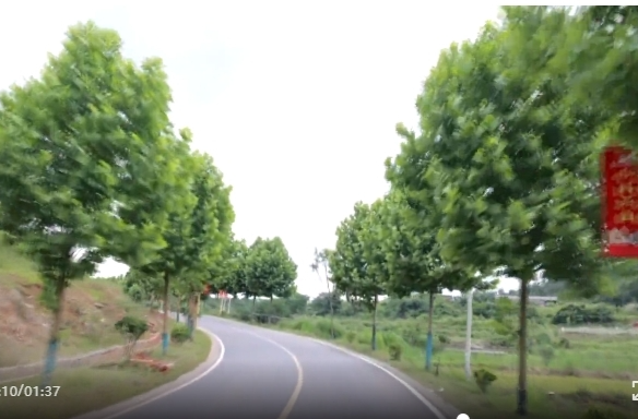 祁阳：优化农村公路安全保障水平、打造安全精品路