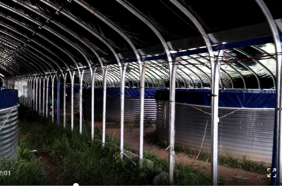 祁阳 ：鱼儿“上岸”换新家 “一只循环桶”产鱼超4000尾