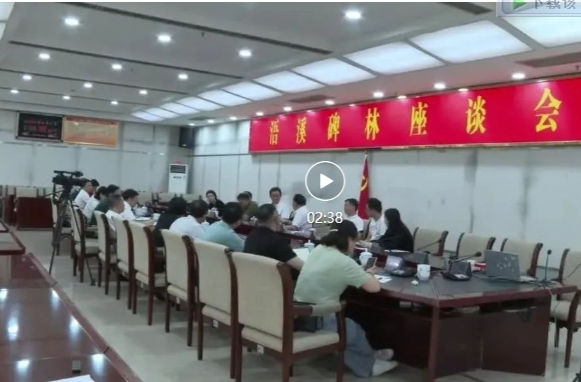 中国书法家协会来祁调研座谈 把脉问诊浯溪摩崖石刻文化传承与发展