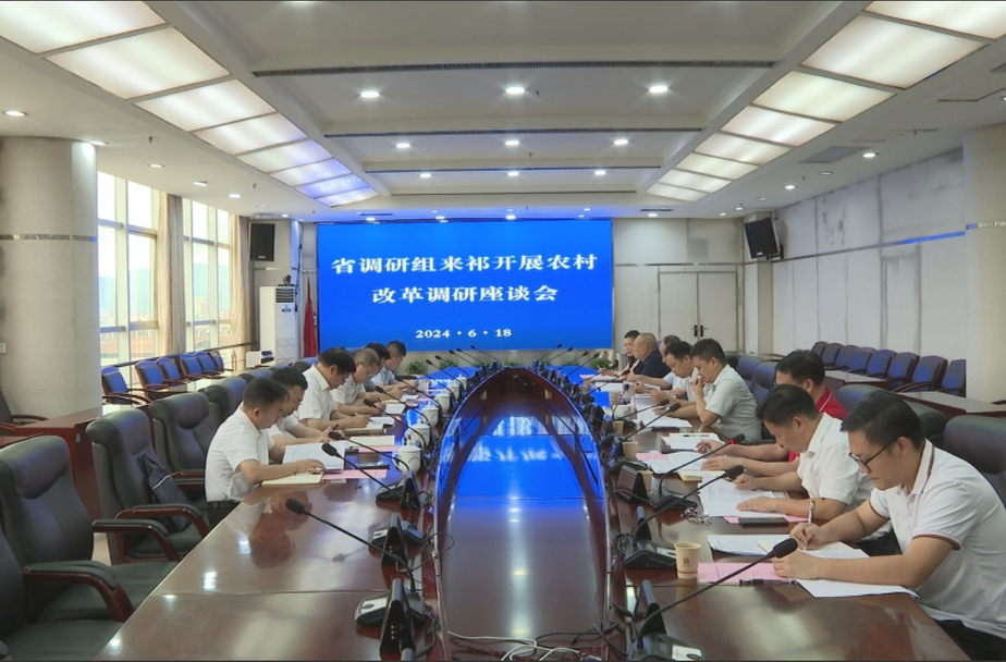 省调研组来祁开展农村改革调研