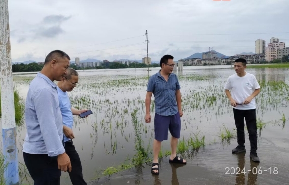 祁阳：水灾无情 保险有爱