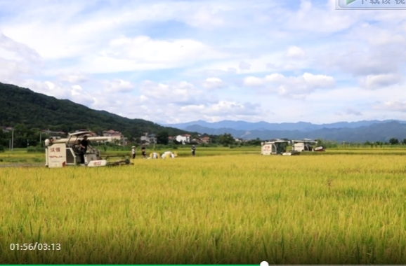 祁阳市开展“全国土地日”系列主题活动
