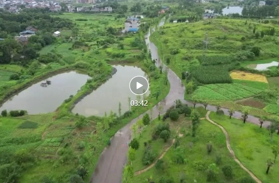 七里桥镇：建设“数字乡村” 织牢“安全网”