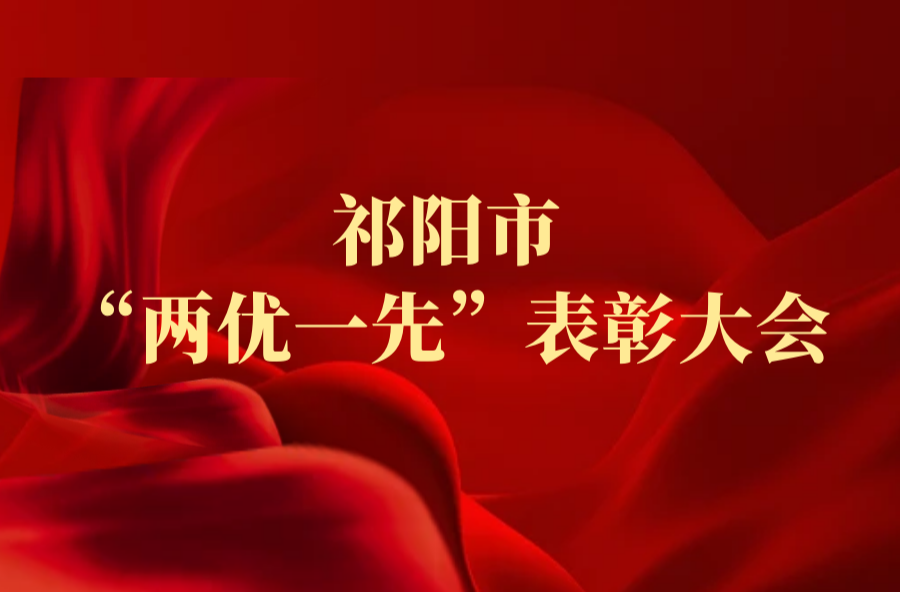 祁阳市“两优一先”表彰大会