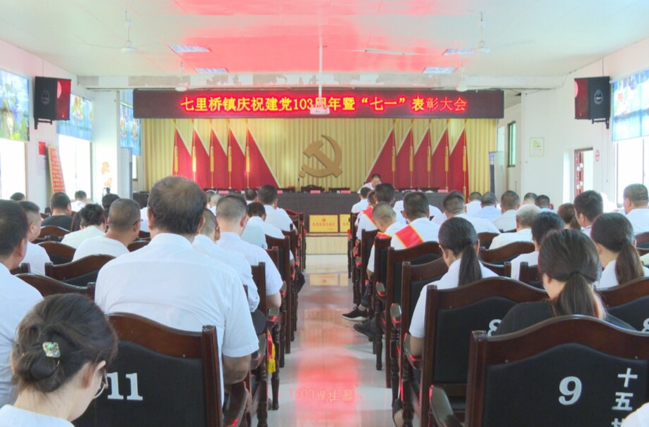 七里桥镇召开庆“七一”表彰大会