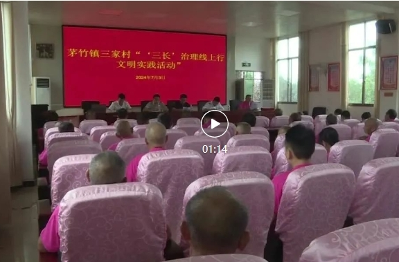 茅竹镇三家村：文明实践我行动 “三长”治理线上行