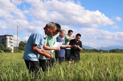 聞“汛”而動 祁陽積極開展農(nóng)業(yè)保險賠付