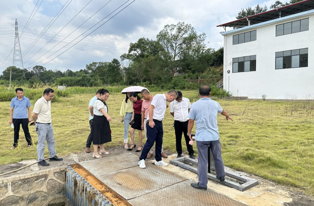 祁阳大村甸镇：以法治力量守护绿水青山