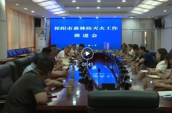 祁阳市收听收看全省森林防灭火工作视频会议