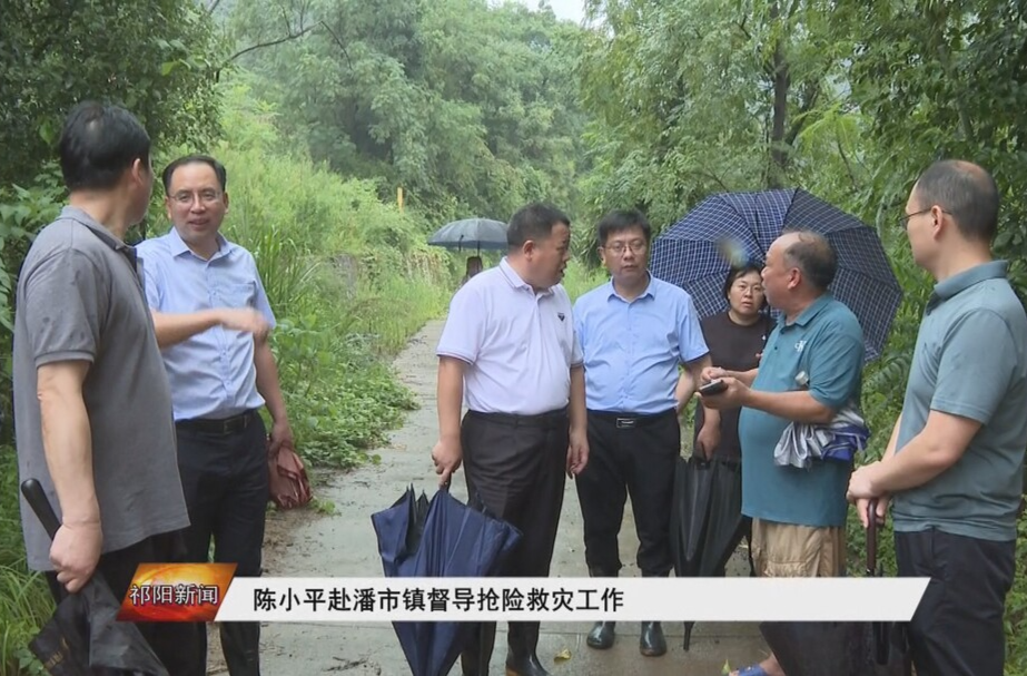 陈小平赴潘市镇督导抢险救灾工作