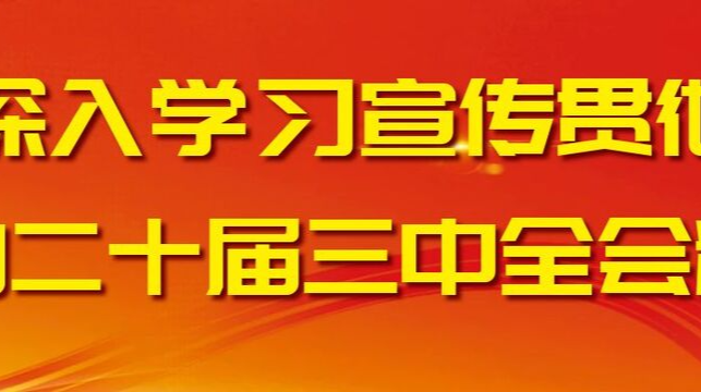 深入学习宣传贯彻党的二十届三中全会精神