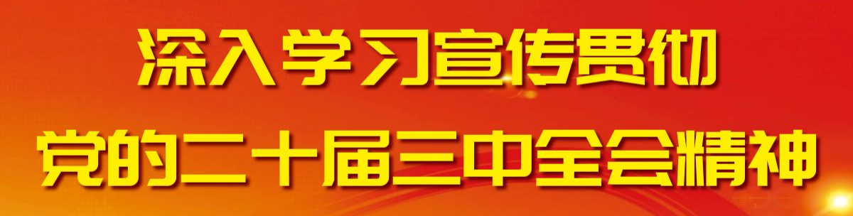 深入学习宣传贯彻党的二十届三中全会精神