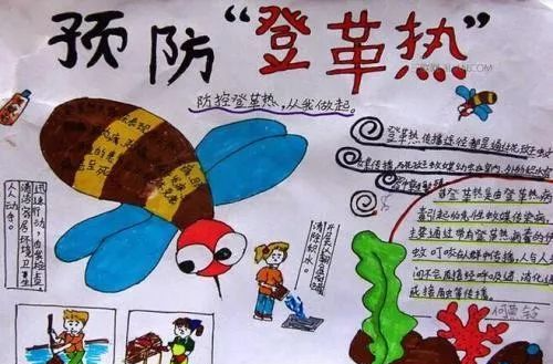 登革热防控的两个关键点