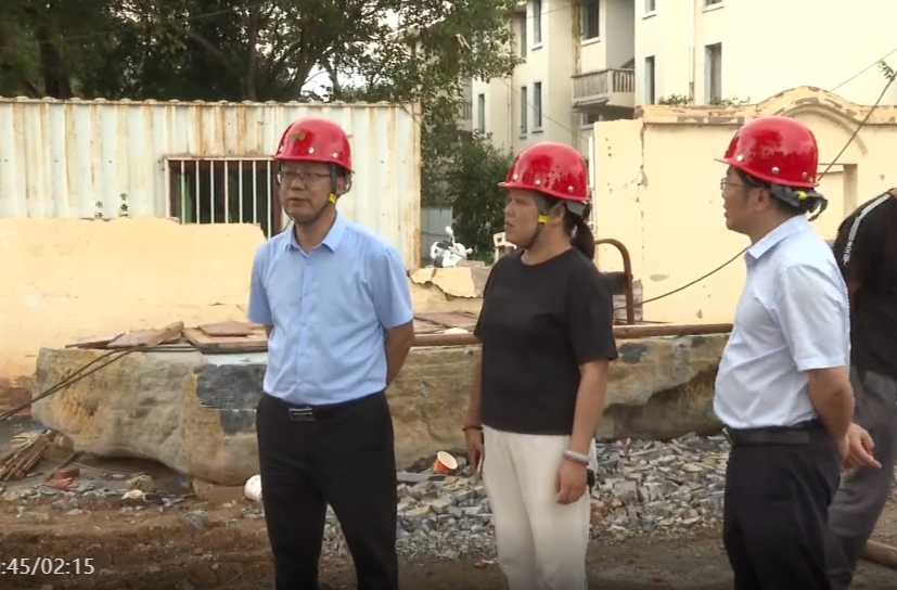 陈小平调研重点项目建设推进情况