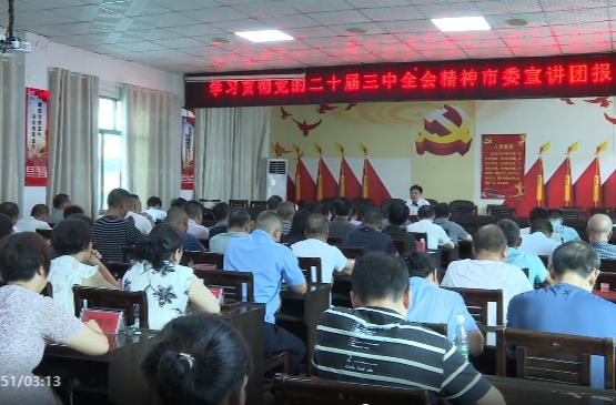 （学习贯彻党的二十届三中全会精神）陈小平在黎家坪镇宣讲党的二十届三中全会精神