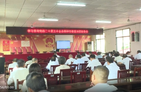 （学习贯彻党的二十届三中全会精神 ）祁阳市委宣讲团在文富市镇开展宣讲