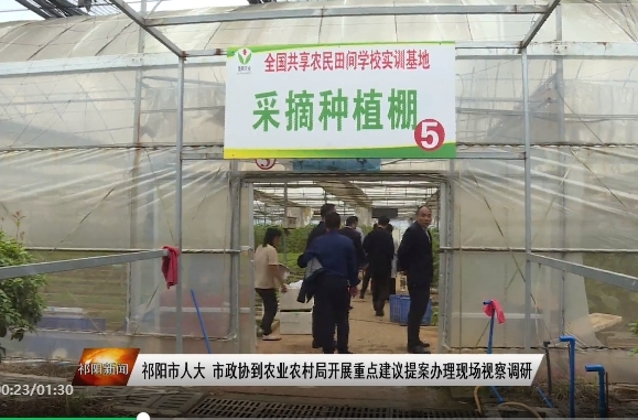 祁阳市人大、市政协到农业农村局开展重点建议提案办理现场视察调研