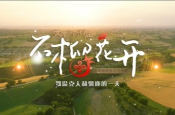 石榴花开·广西篇视频