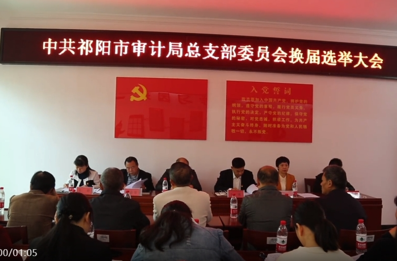 祁阳市审计局圆满完成党总支换届
