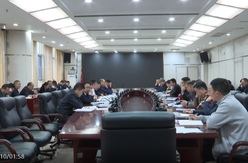 全市政府系统群众身边不正之风和腐败问题集中整治及15件具体民生实事工作推进会召开