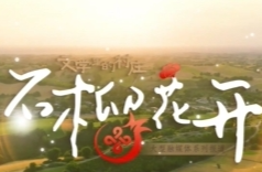 石榴花开⑦|红土地上，歌儿与爱情