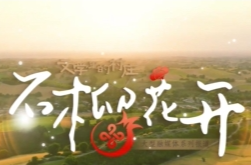 视频·石榴花开⑧|拂去尘埃，走进未来