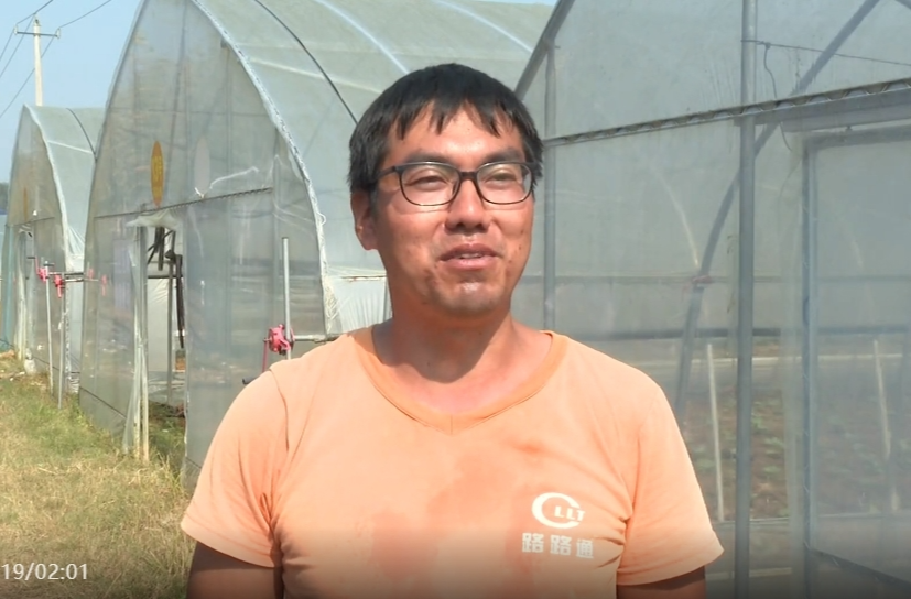 祁阳：一个大棚种四季 错季套种好“钱”景