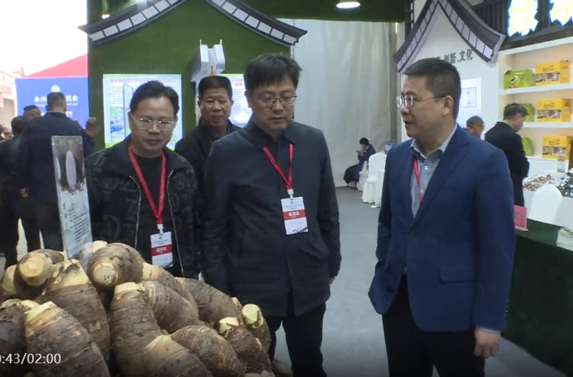 祁阳市组织参展2024东盟•湖南（永州）名优产品交易会及永州蔬菜博览会