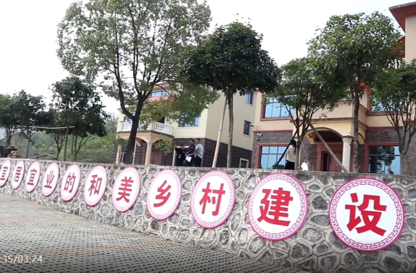 祁阳市苏油坪新村：党建引领 特色强村焕“新颜”