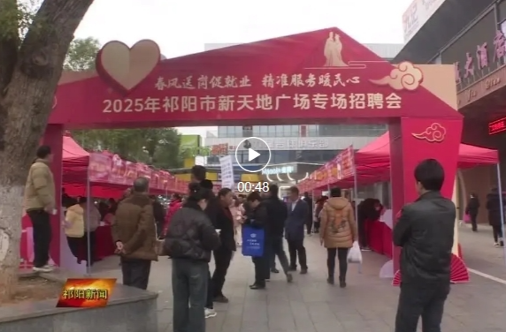 2025年祁阳市“春风送岗促就业 精准服务暖民心”新天地广场专场招聘会