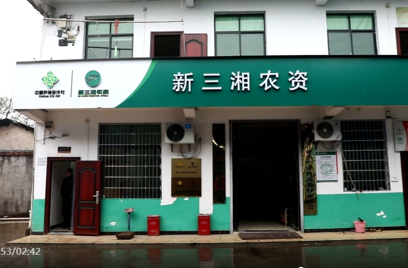 祁阳：农资价格下调 农户备耕“底气足”