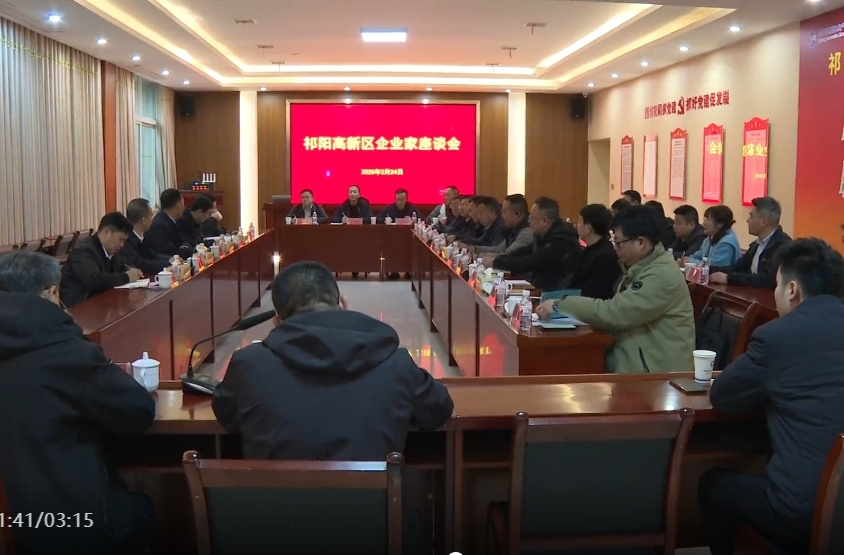 向子顺在祁阳高新区调研