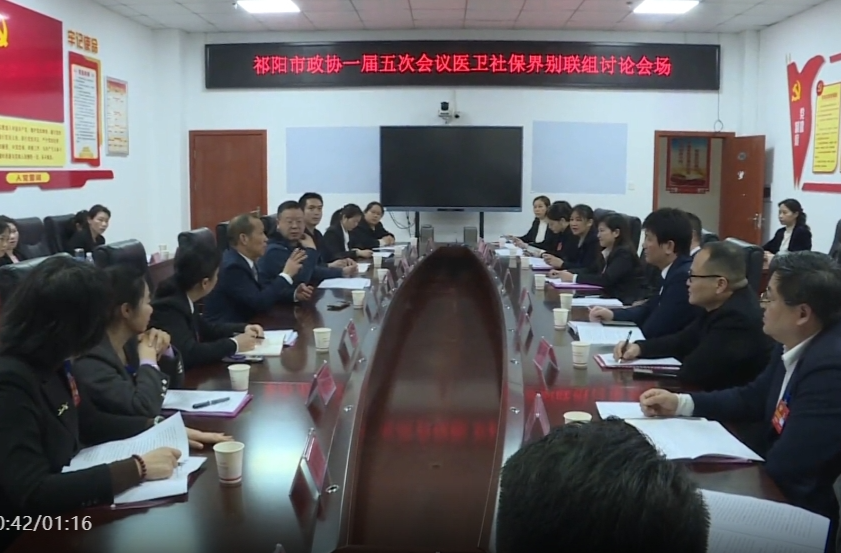 祁阳市政协委员分界别讨论政协常委会工作报告和提案工作报告