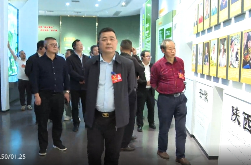 祁阳市政协委员集中视察重点项目