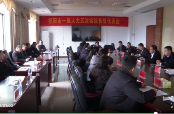 郑国荣参加长虹街道代表团讨论