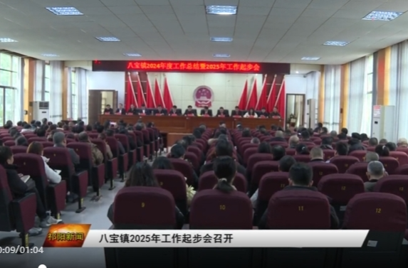 八宝镇2025年工作起步会召开