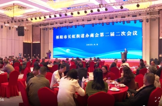 长虹街道办举办“湘商回归返乡创业”2025年清明恳谈会