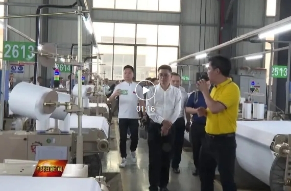 湖南省产业集群联盟代表来祁观摩调研