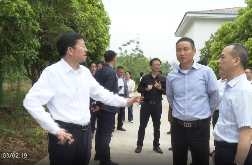 蒋良铁调研督导生态环境保护工作