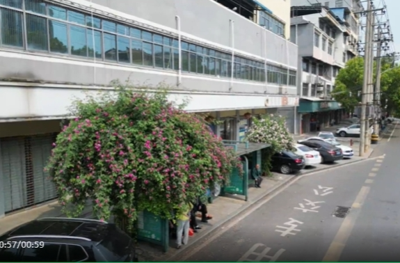 祁阳最美公交站台，蔷薇点缀春日气息 