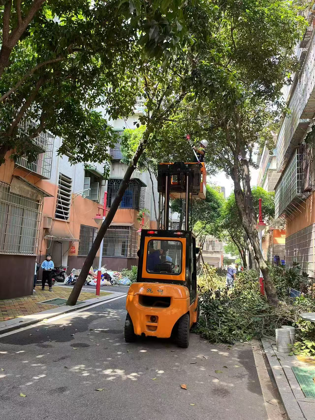 祁阳龙山街道：群众安全无小事，一枝一叶总关情